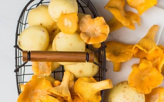 Cómo cocinar las setas: las mejores formas