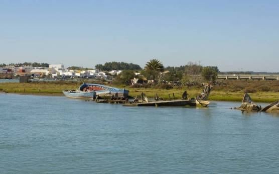 Atún rojo de almadraba: una técnica tradicional y milenaria