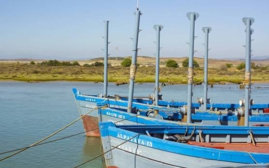 Dónde se pesca el atún rojo en España y otras curiosidades sobre el oro rojo del mar