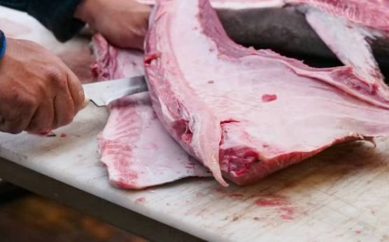 5 propiedades del atún rojo