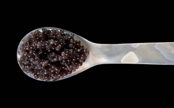 Descubre los diferentes sabores de caviar para una experiencia culinaria única