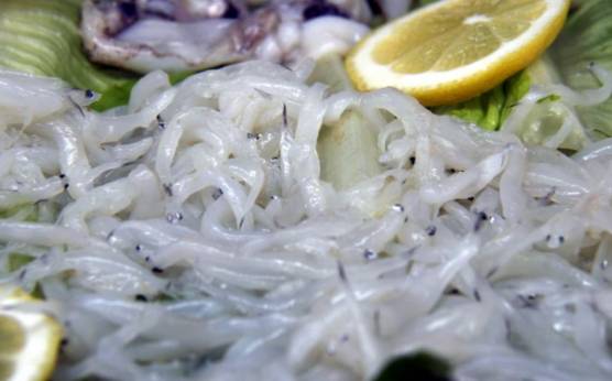 ¿Qué hay detrás del elevado Precio de las Angulas?