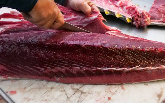 Beneficios para la salud de consumir atún de almadraba