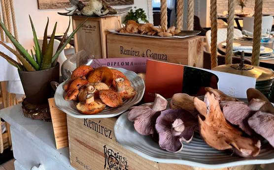 Menú Degustación “Setas y Hongos 2024” – Una experiencia única y limitada en Baelo Restaurante